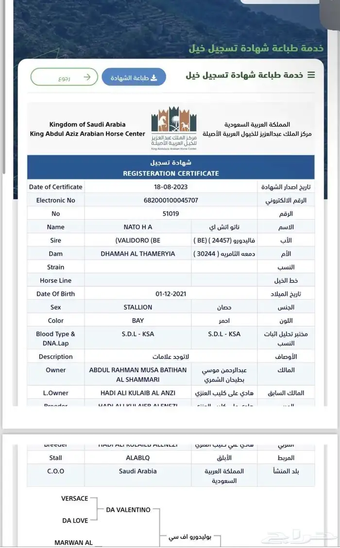 حصان 4