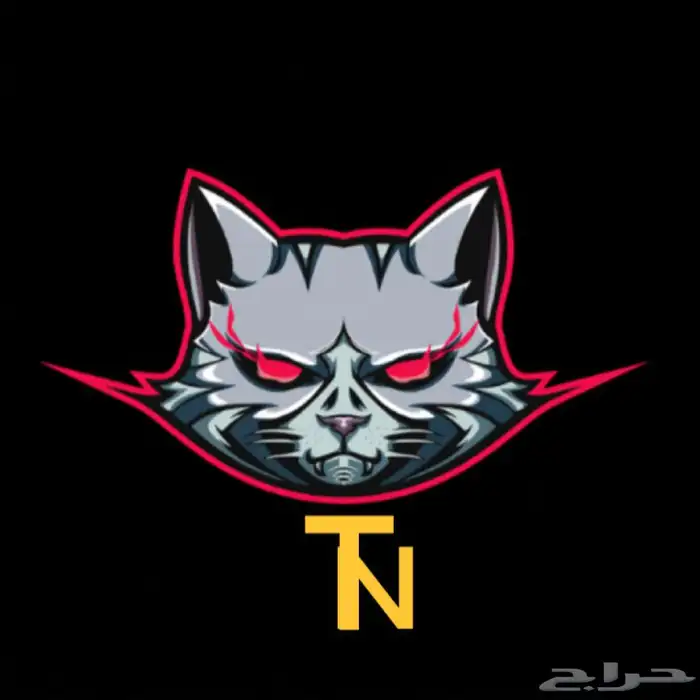 تصميم لوقو احتراقي بأقل الاسعار 5