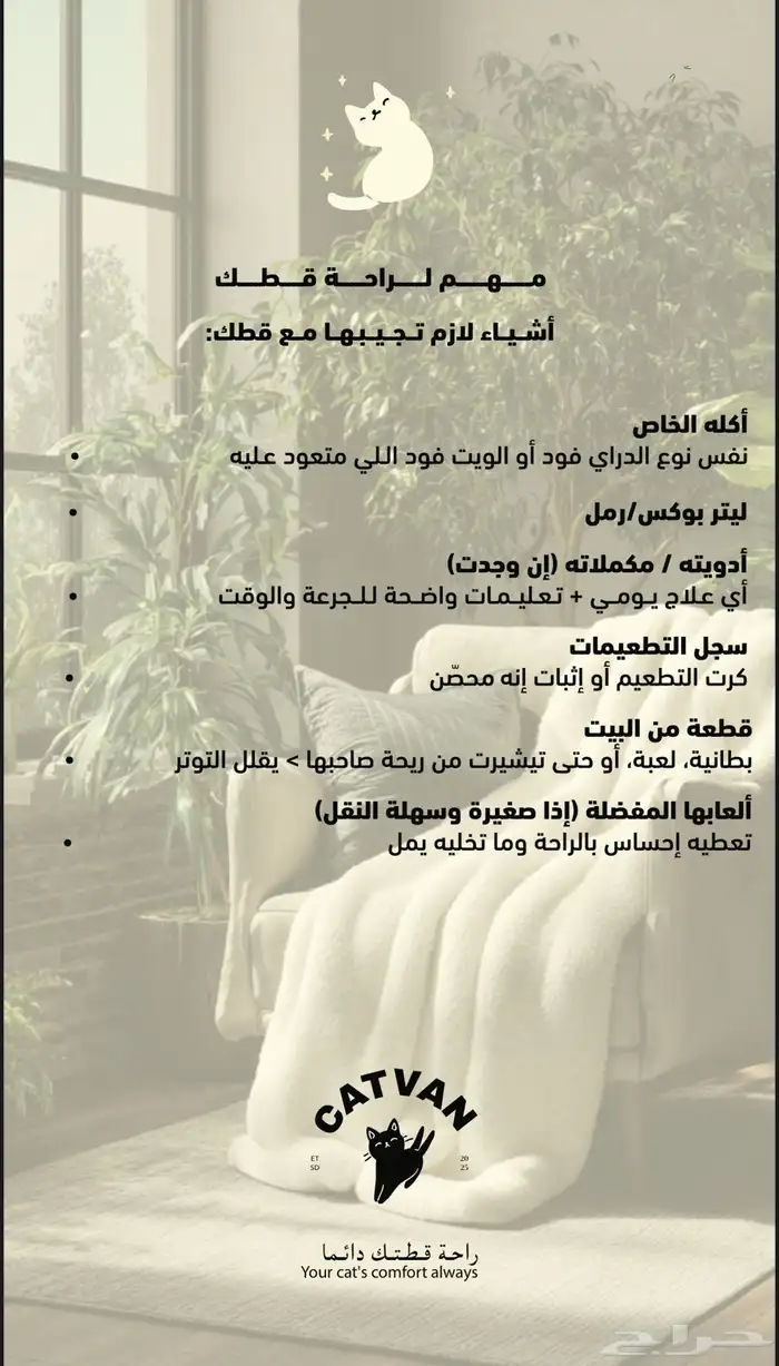 فندقه قطط 1