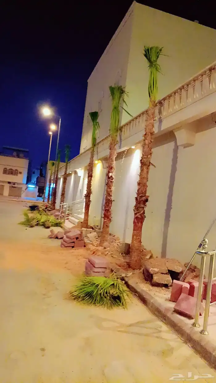 توريد وزراعة النخيل وتوريد وتركيب اسياج الشبوك 2