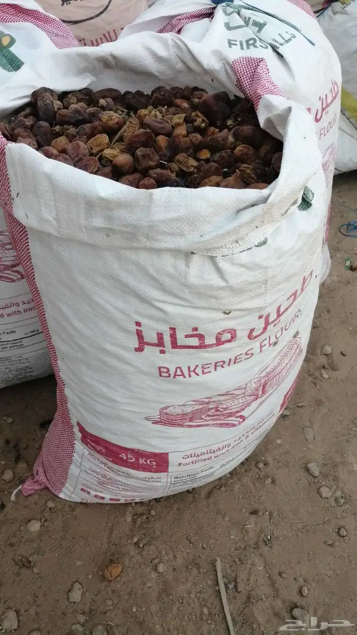 علف تمر للبيع ماشاء الله تبارك الله 5