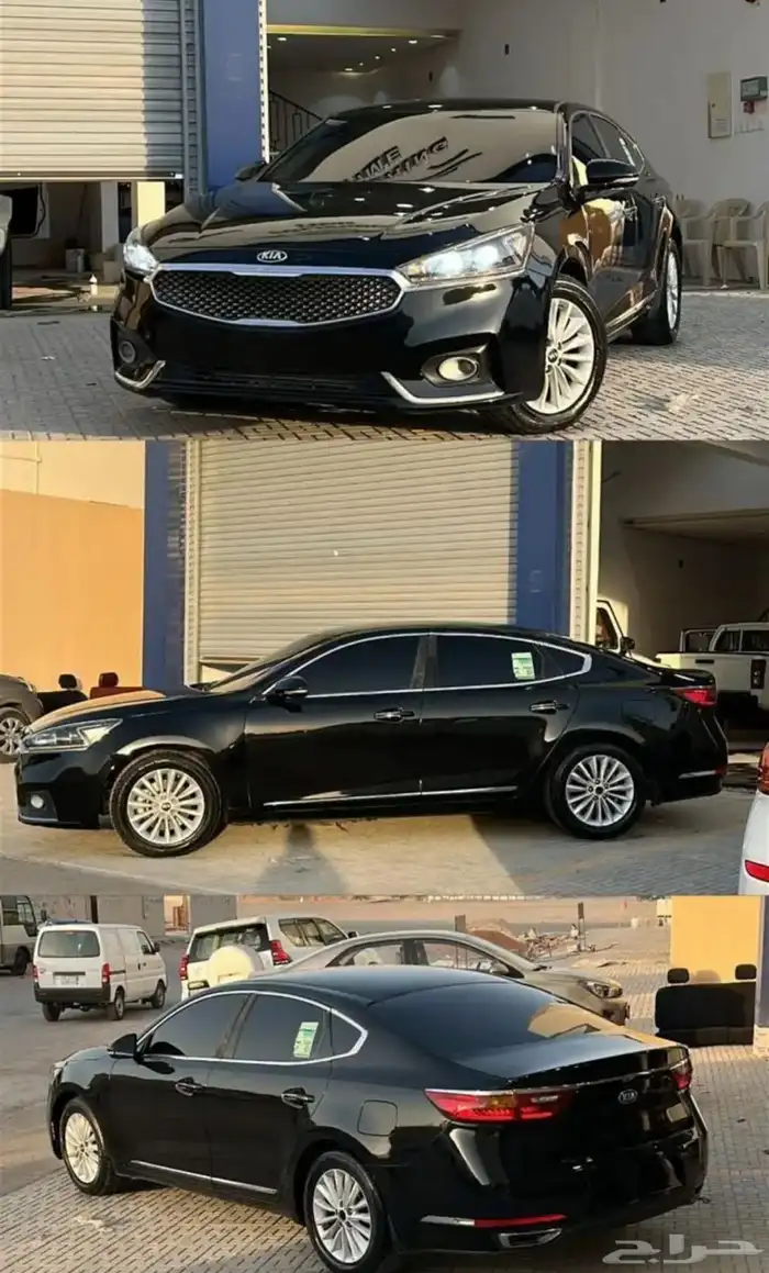 كدنزا 2017 0