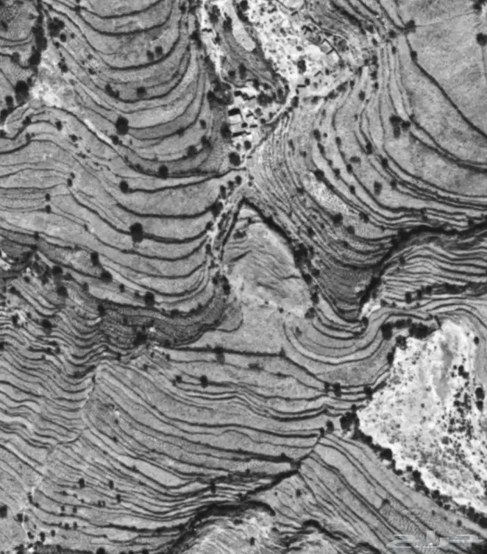 مهندس مدني خبرة 12 سنة محترف نظم معلومات جغرافية gis و 3