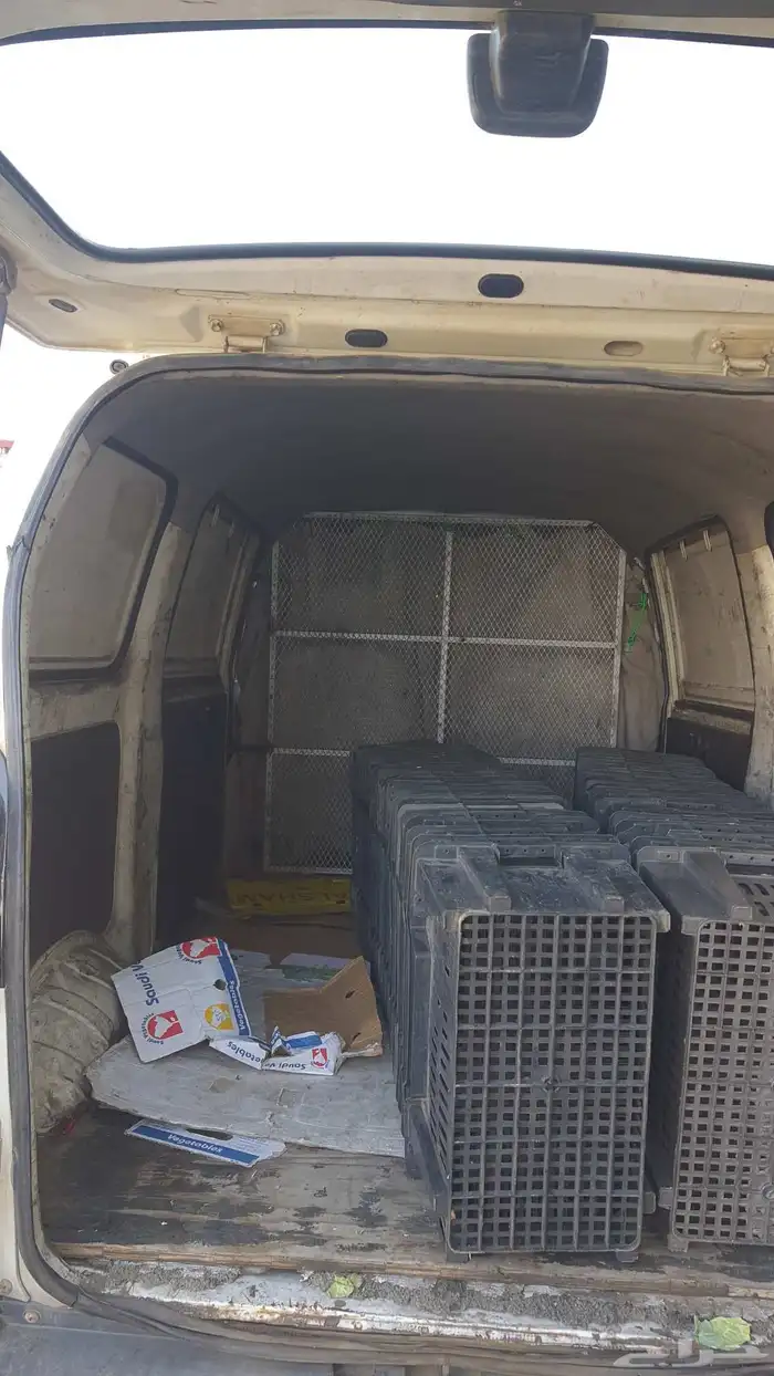 باص بضاعة للبيع 2