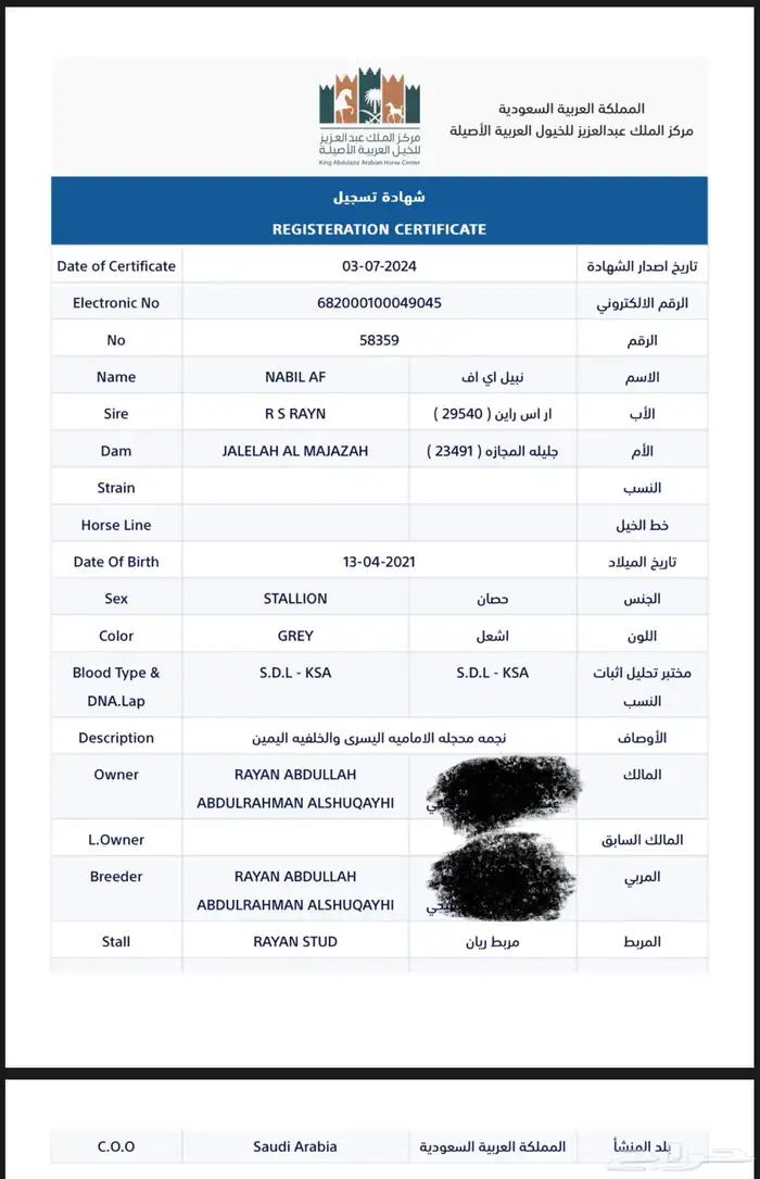 خيل فحل وهوه 5