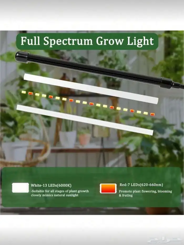 اضواء نبات داخلية   مشبك   انبوبين 5