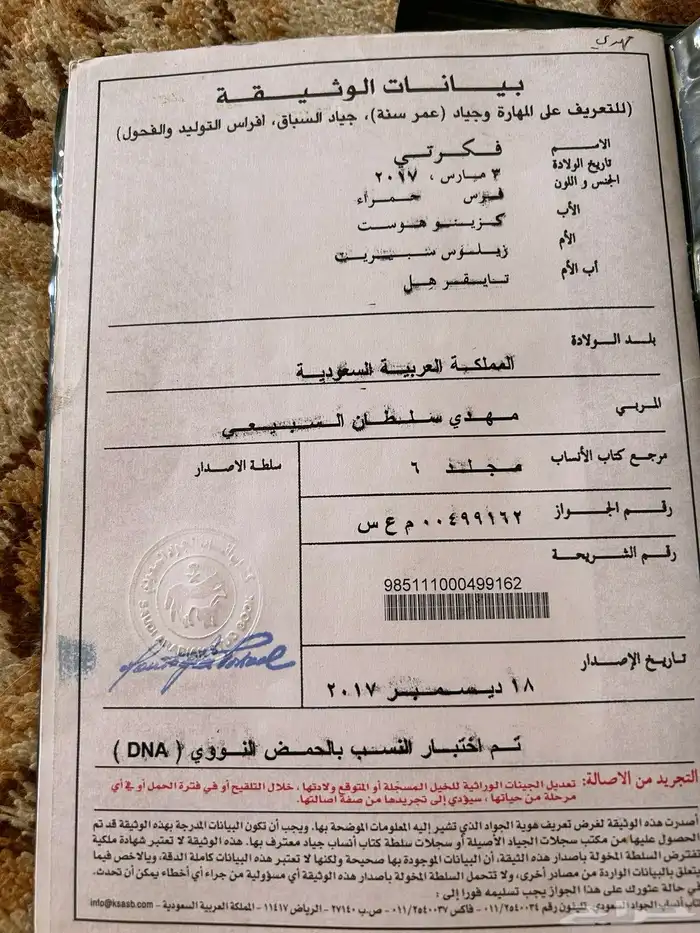 فرس انجليزيه للبيع معها مهر 4