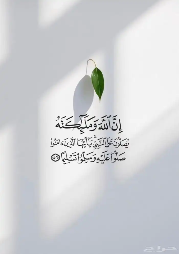 سيارة توصيل غنم مغطاه متجه لطايف 0
