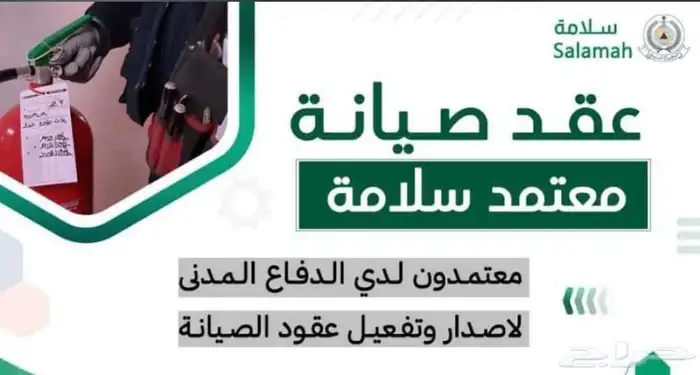 أنظمة السلامة والأمن 5