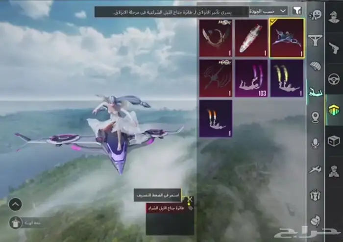 حساب ببجي للبيع 2