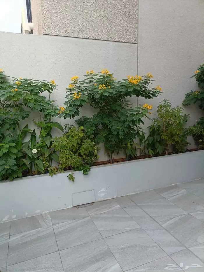 مشاتل مشتل 5