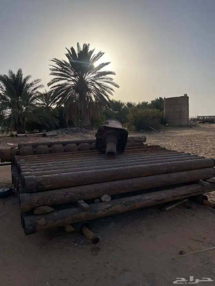 مكينه فلفو 0