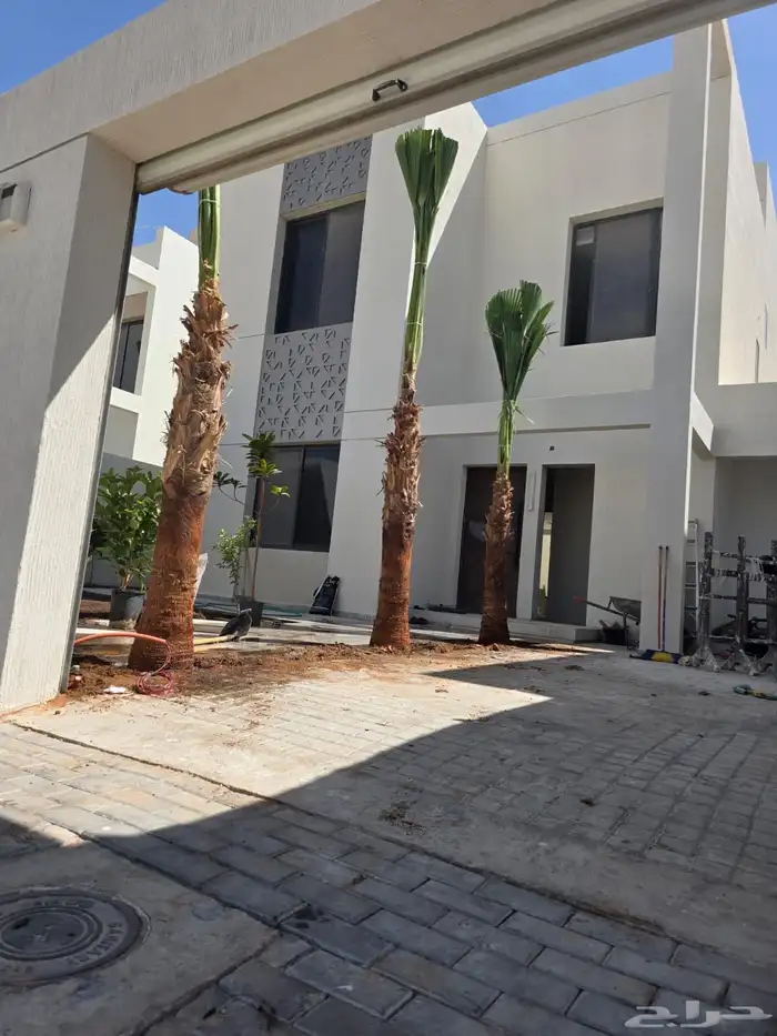 نخيل واشنطن للبيع بجميع انواع المقاسات لتواصل 3