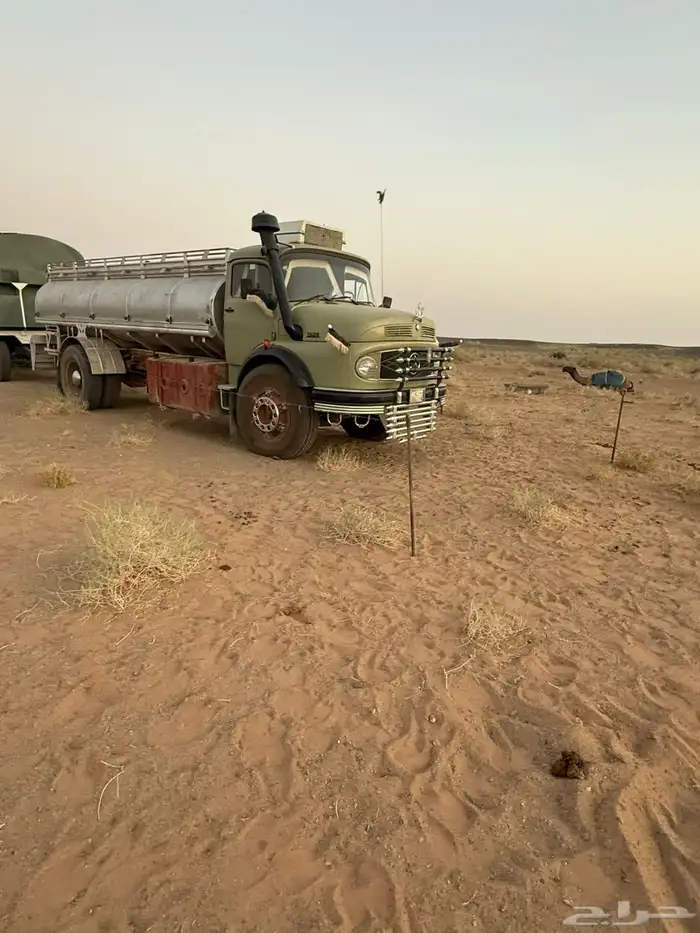 عايدي 24 5