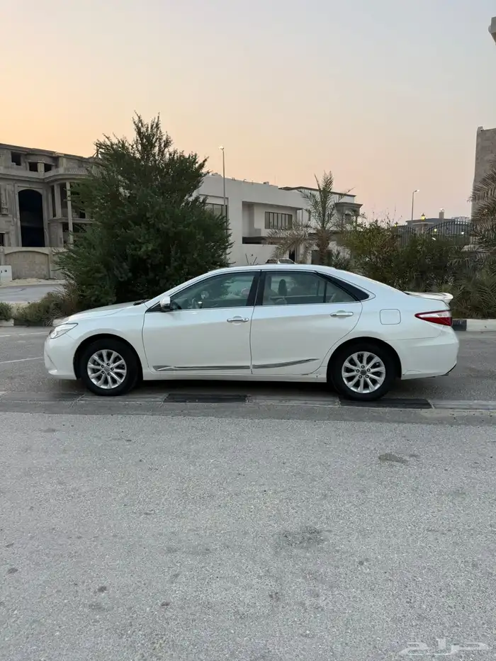 تم البيع 1