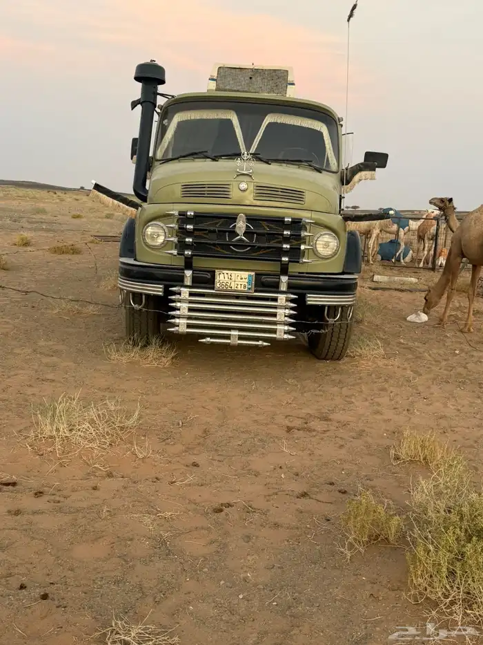 عايدي 24 7