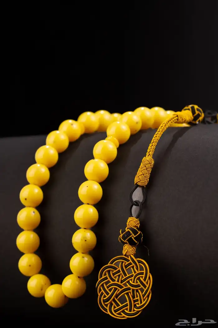 مصور بالدمام 10