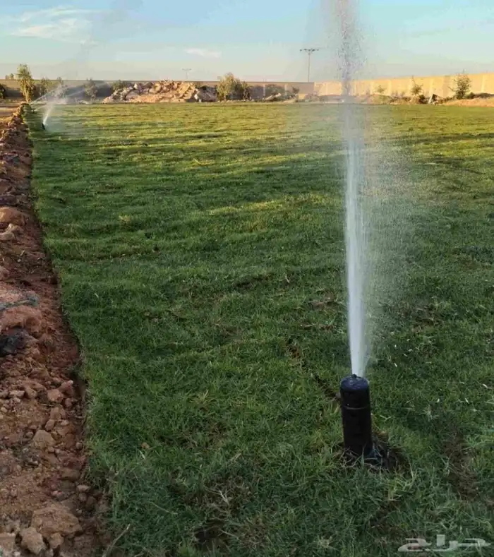 تنسيق حدائق توريد وتركيب الثيل الطبيعي وشبكه الرأي الحديث عا 1