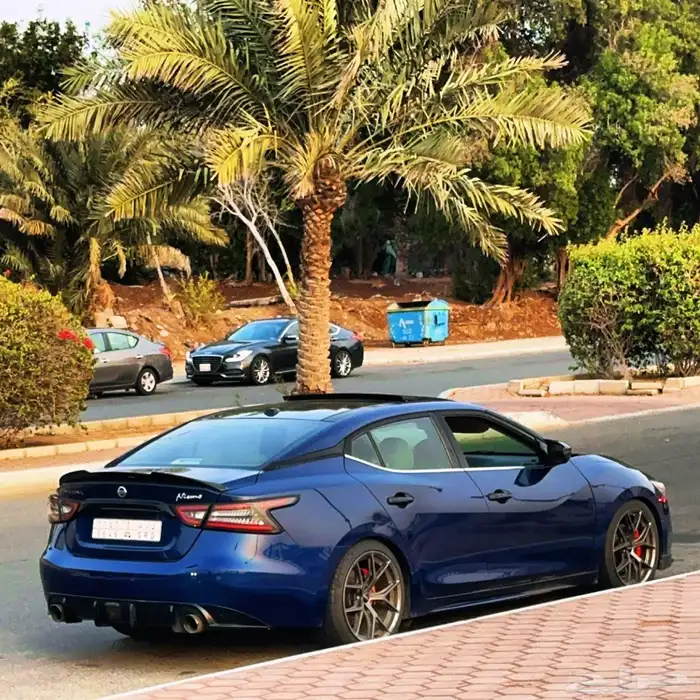 اصطبات مكسيما 2020 2