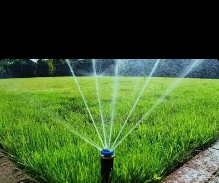 تنسيق حدائق توريد وتركيب الثيل الطبيعي وشبكه الرأي الحديث عا 2