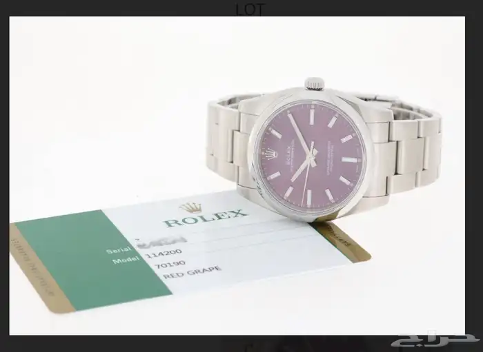رولكس اويستر بربتشوال Oyster Perpetual 0