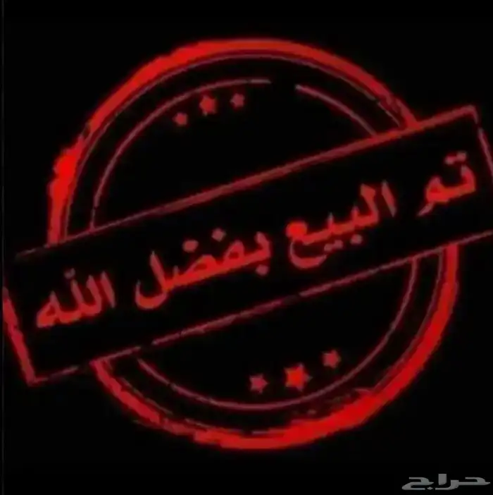 عرض فروخ كنيور 8