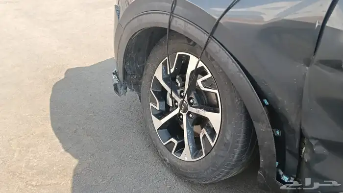سبورتاج 23 مصدومه 8
