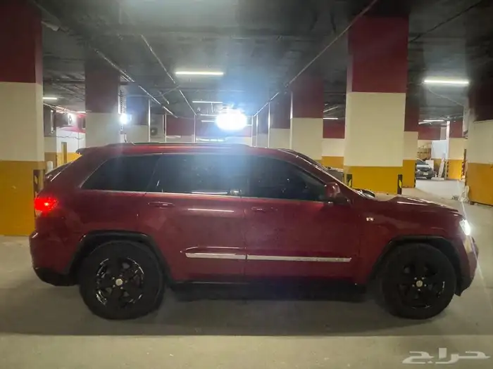 جراد شروكي 6