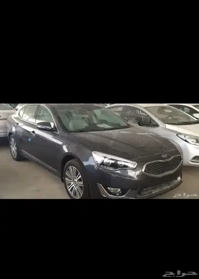 مطلوب كدنزا2016 0