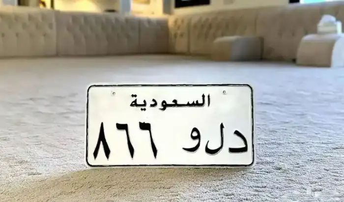 للبيع لوحه مميزه دلو 0