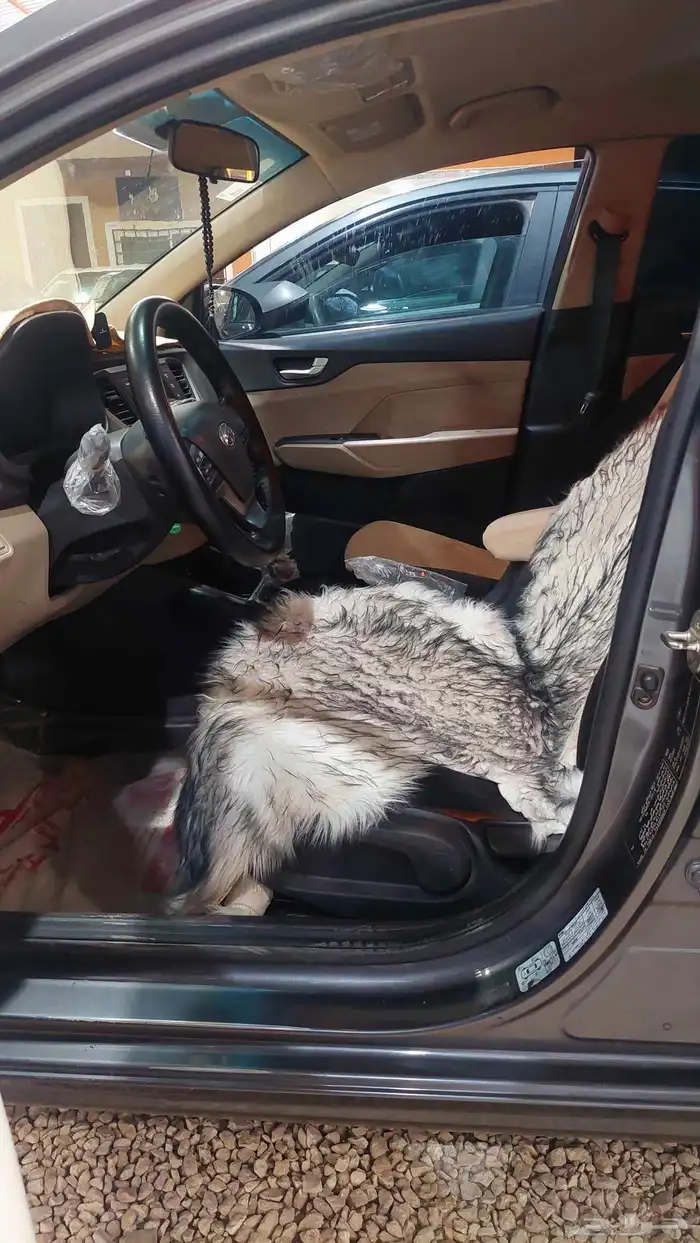 تم البيع الله يبارك له 3