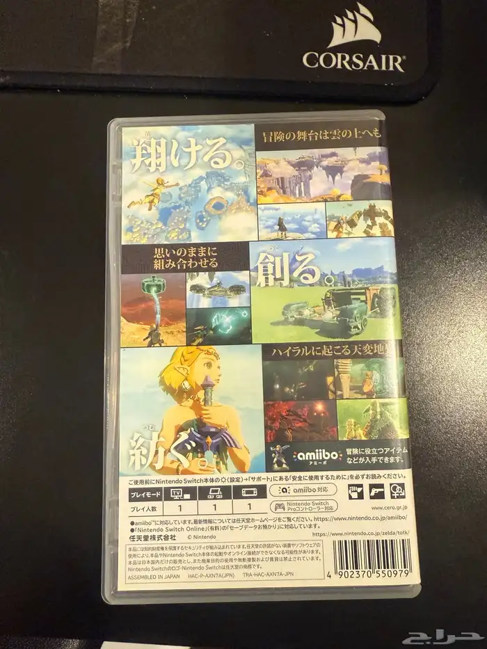 زيلدا The Legend of Zelda  Tears of the Kingdom 1