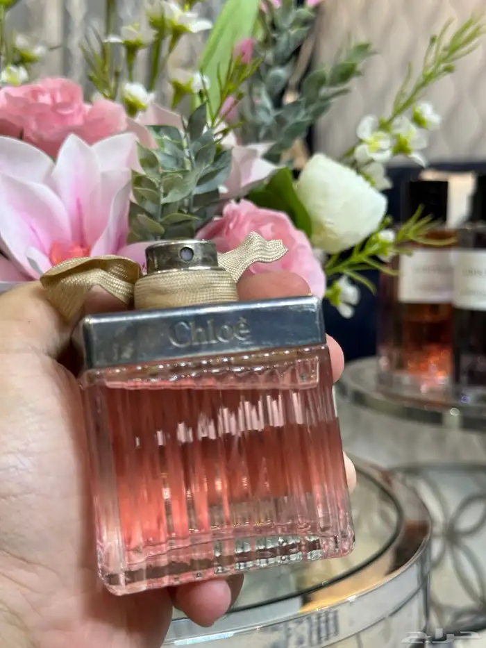 عطور تسترات بأسعار مناسبة 16
