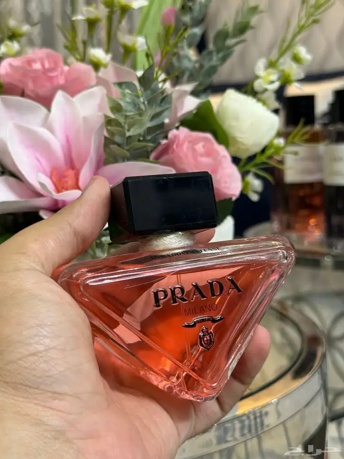 عطور تسترات بأسعار مناسبة 1