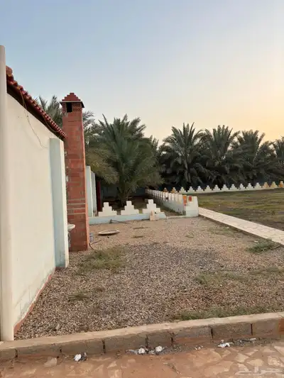 استراحة في المشاعلة 0