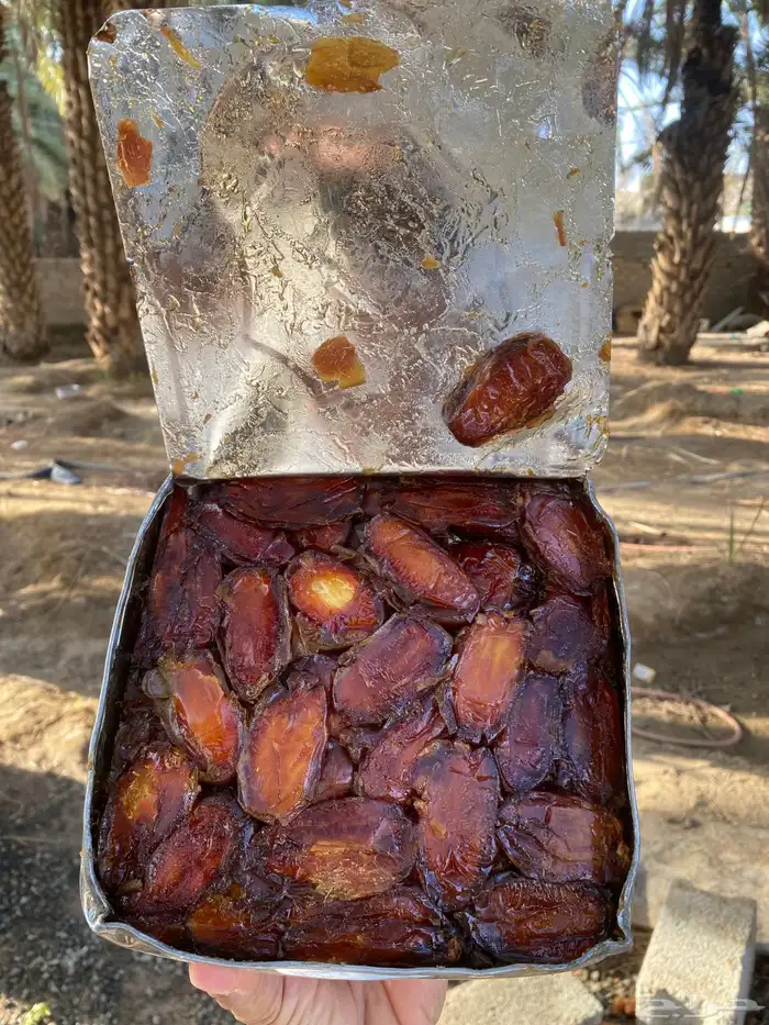 تنك أرباع صفري بيشة حشي جديد حبة كبير 0