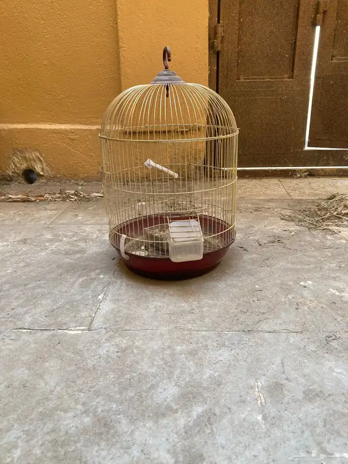 اقفاص طيور متنوعة 0
