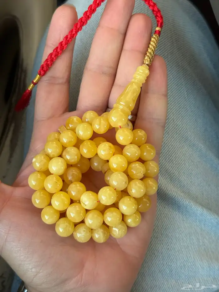 مسباح كهرمان كلنغرادي اقتصادي تم تحديث السعر 0