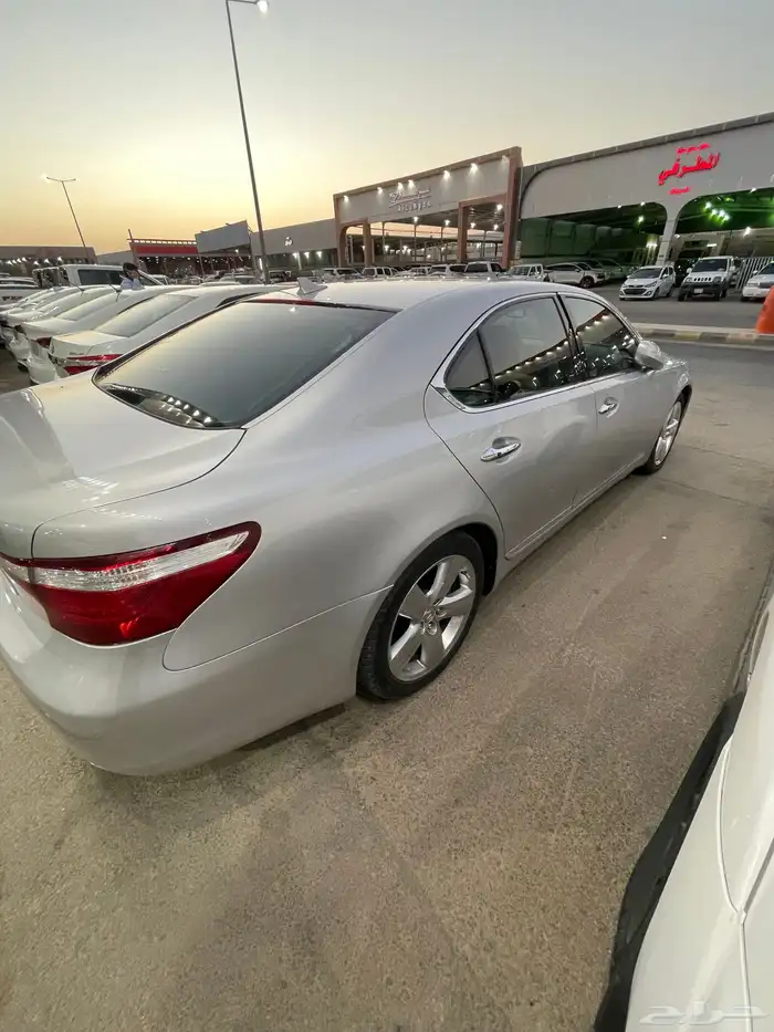 تم البيع 7