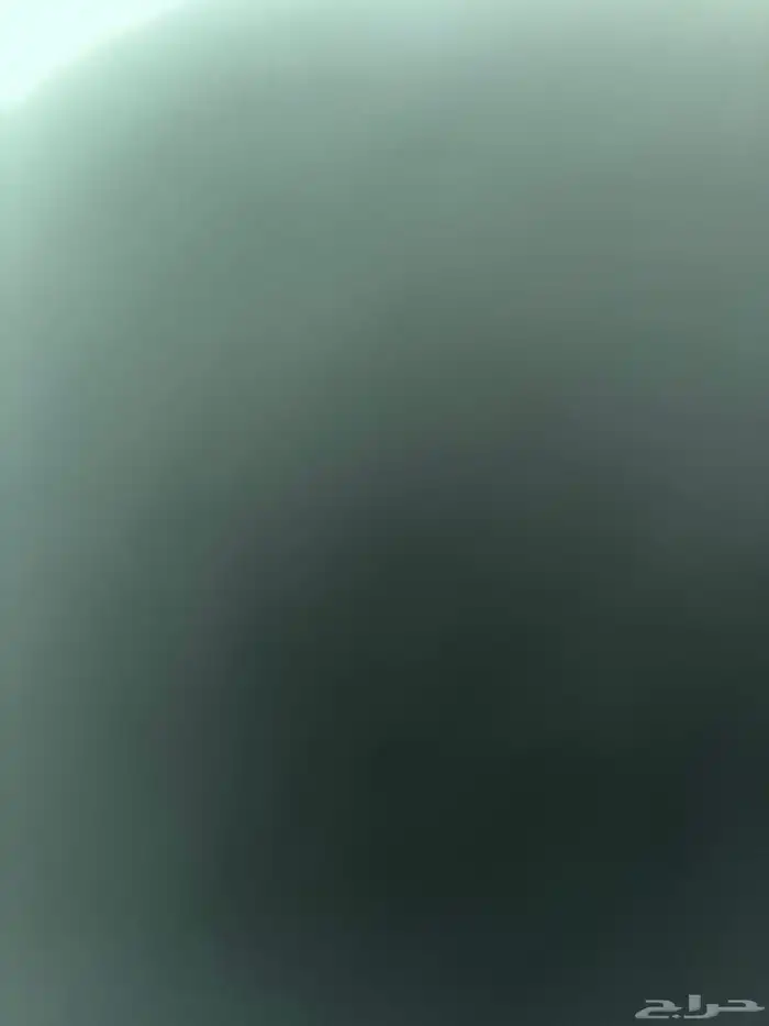 عمال حلاقين للتقبيل ( خميس مشيط ) 0