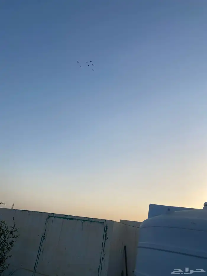 حمام قلابي وهندي والموقع بريدة حي الهدية اربعة اجواز 0
