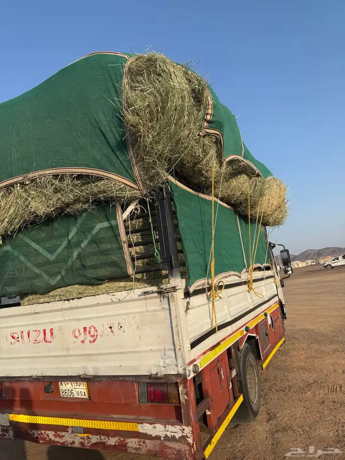 علف لفه رودس 1