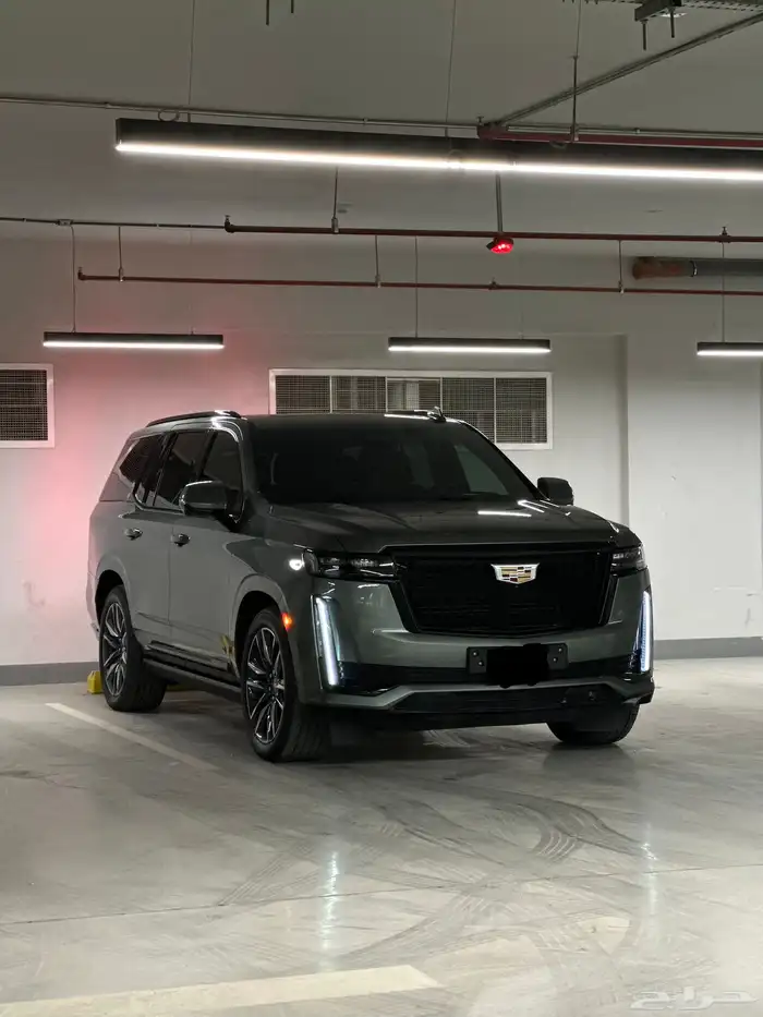 كادلك اسكاليد 0