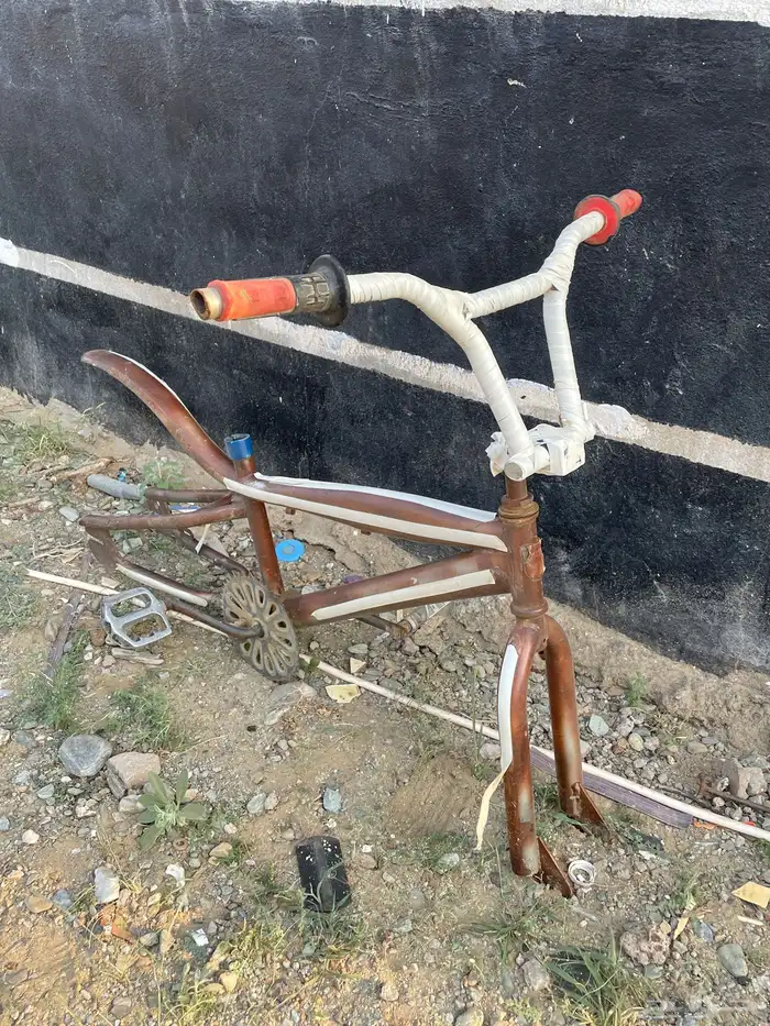 سيكل رامبو صيني  كوبرا مرشوش 3