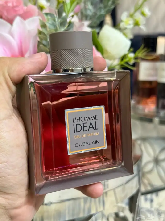 عطور تسترات بأسعار مناسبة 10