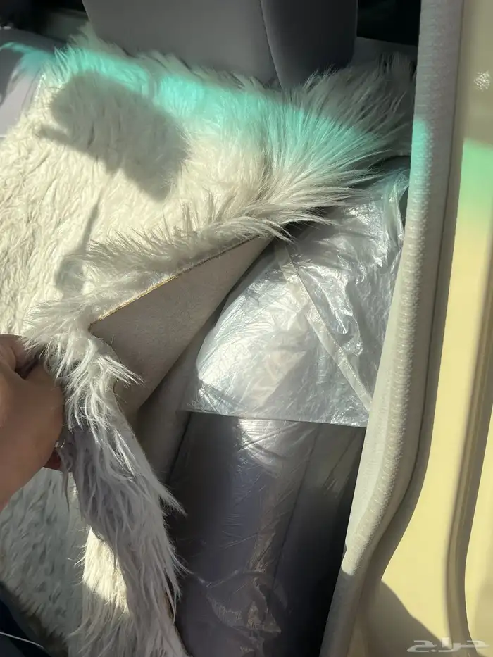 شاص2011 ممشى قليل 8