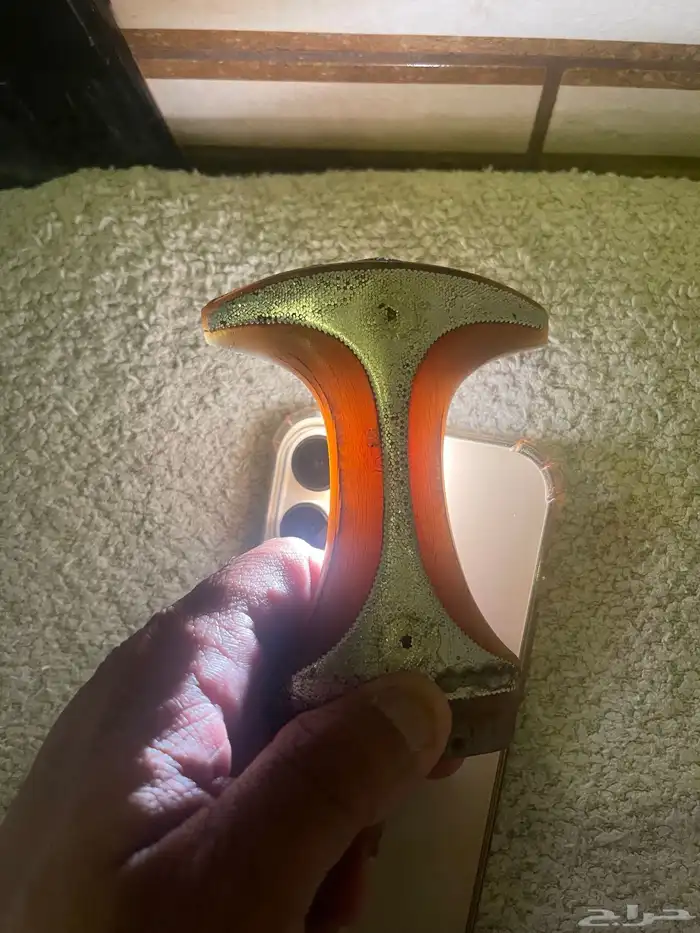 راس قرن قديم مرموس رمس عماني نظيف اشقر 4