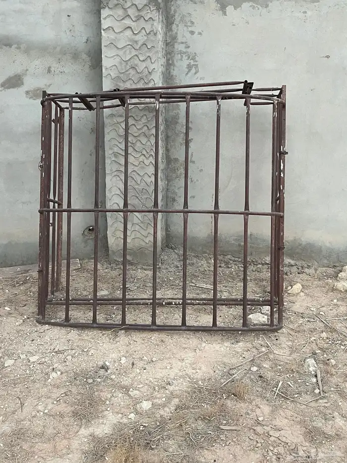 هنقلين (شبك حوض) 0