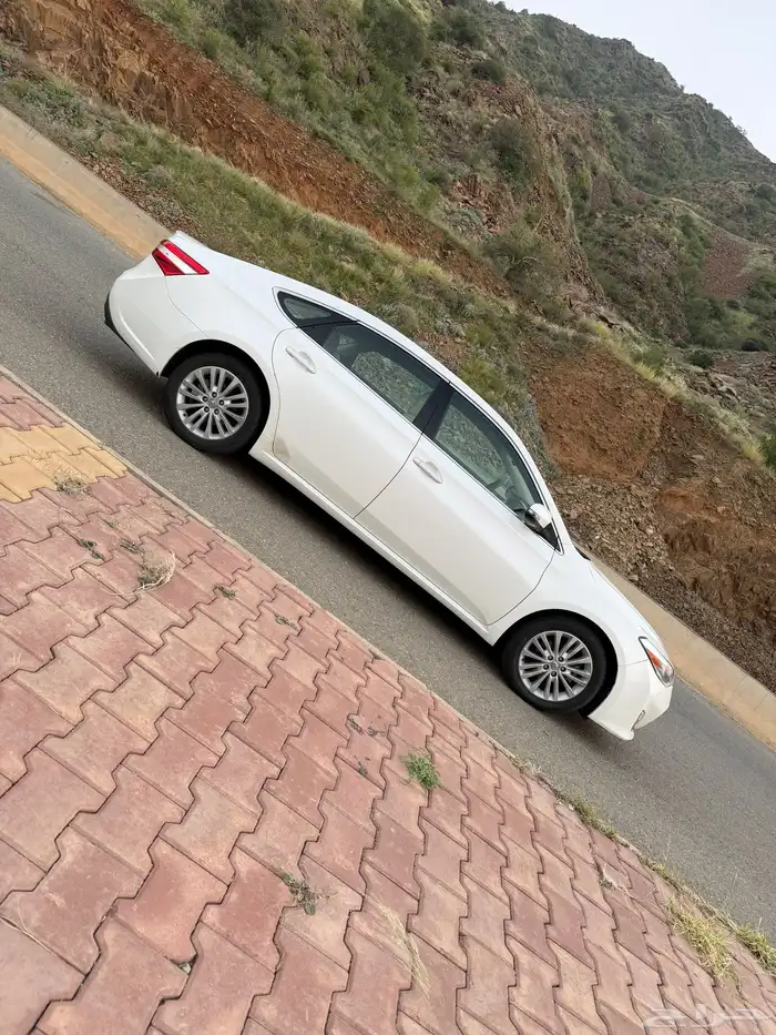 أفالون لمتد 2013 40
