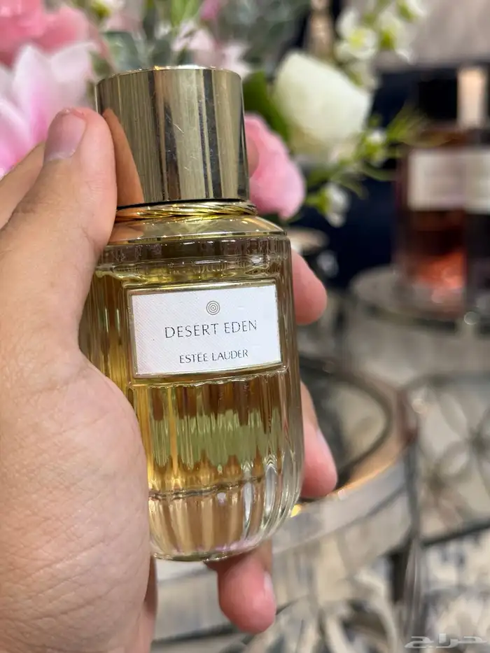 عطور تسترات بأسعار مناسبة 12